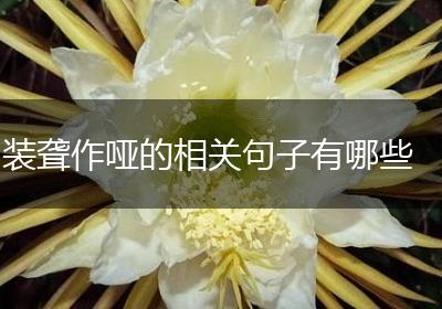 装聋作哑的相关句子有哪些