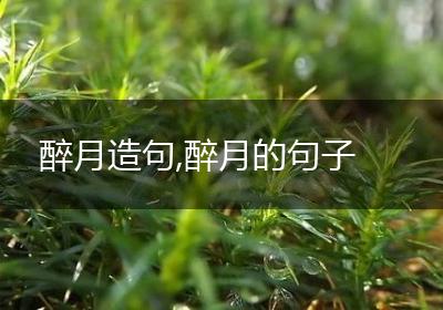醉月造句,醉月的句子