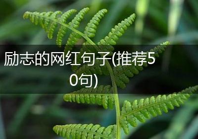 励志的网红句子(推荐50句)