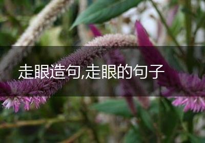走眼造句,走眼的句子