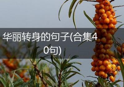 华丽转身的句子(合集40句)