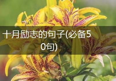 十月励志的句子(必备50句)