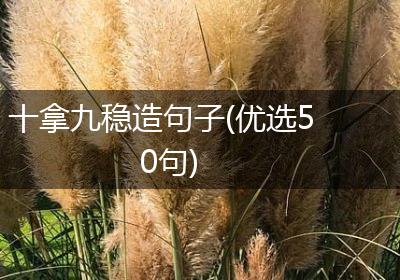 十拿九稳造句子(优选50句)