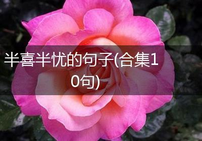半喜半忧的句子(合集10句)