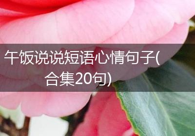 午饭说说短语心情句子(合集20句)