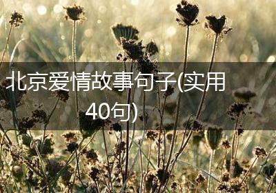 北京爱情故事句子(实用40句)