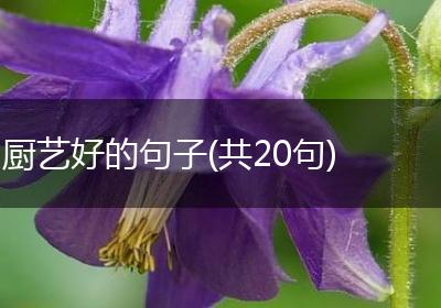 厨艺好的句子(共20句)