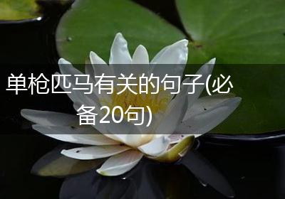 单枪匹马有关的句子(必备20句)