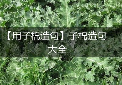 【用子棉造句】子棉造句大全