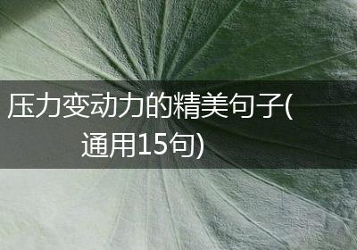 压力变动力的精美句子(通用15句)