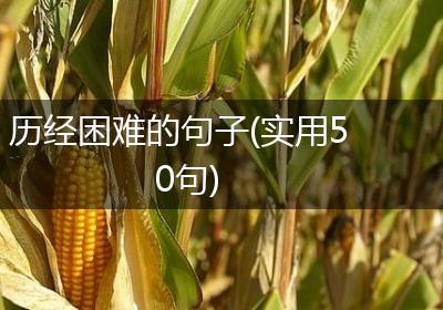 历经困难的句子(实用50句)