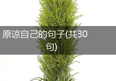 原谅自己的句子(共30句)
