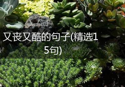 又丧又酷的句子(精选15句)