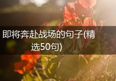 即将奔赴战场的句子(精选50句)