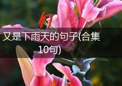 又是下雨天的句子(合集10句)