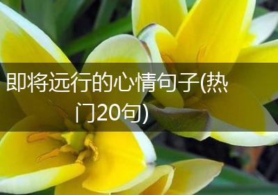 即将远行的心情句子(热门20句)