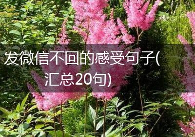 发微信不回的感受句子(汇总20句)