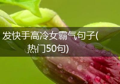 发快手高冷女霸气句子(热门50句)