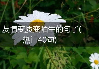 友情变质变陌生的句子(热门40句)