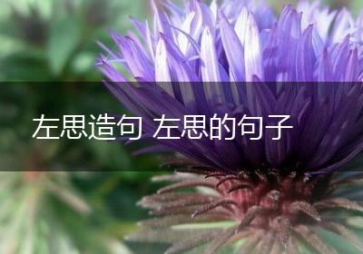 左思造句 左思的句子