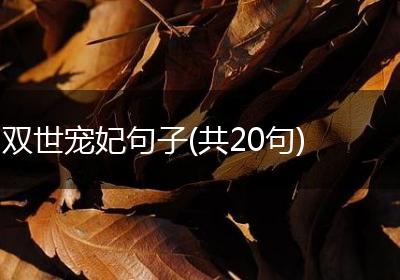 双世宠妃句子(共20句)