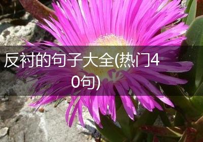 反衬的句子大全(热门40句)