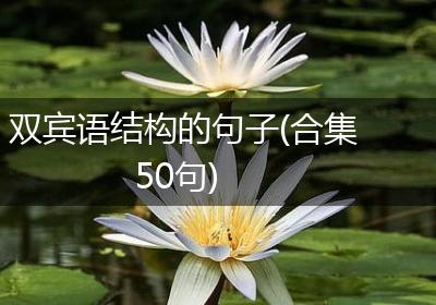 双宾语结构的句子(合集50句)