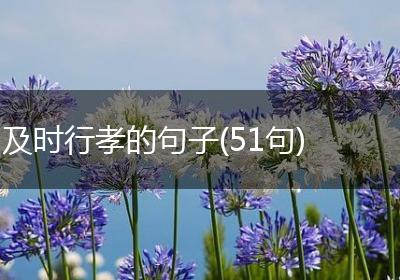 及时行孝的句子(51句)