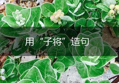 用“子将”造句