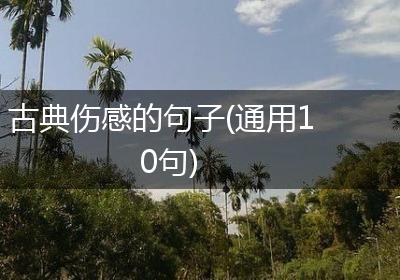 古典伤感的句子(通用10句)