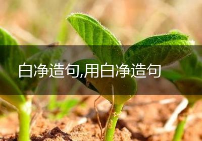 白净造句,用白净造句