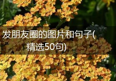 发朋友圈的图片和句子(精选50句)