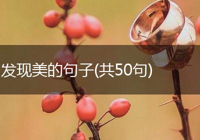 发现美的句子(共50句)
