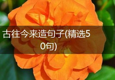 古往今来造句子(精选50句)