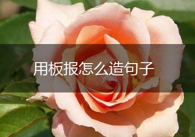用板报怎么造句子