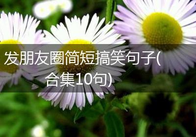 发朋友圈简短搞笑句子(合集10句)