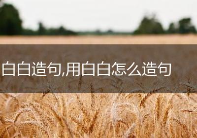 白白造句,用白白怎么造句