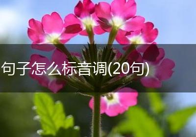 句子怎么标音调(20句)