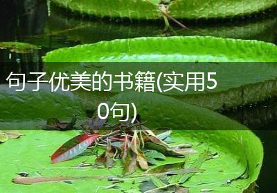 句子优美的书籍(实用50句)