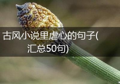 古风小说里虐心的句子(汇总50句)