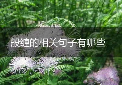 般缠的相关句子有哪些