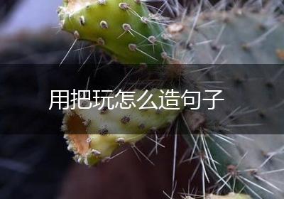 用把玩怎么造句子