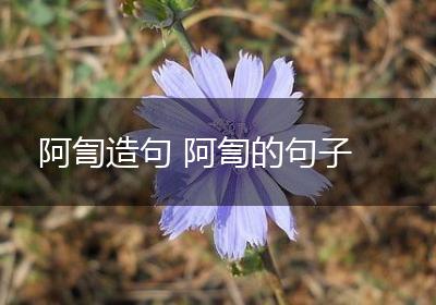 阿訇造句 阿訇的句子
