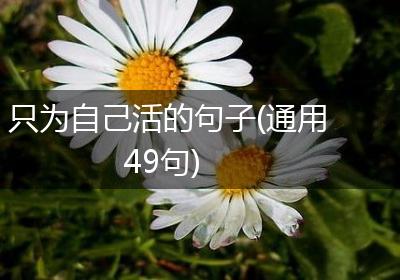 只为自己活的句子(通用49句)