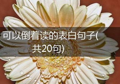 可以倒着读的表白句子(共20句)