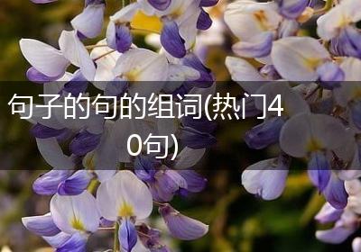 句子的句的组词(热门40句)