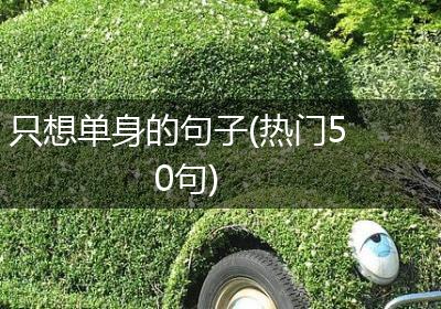 只想单身的句子(热门50句)