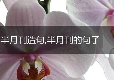 半月刊造句,半月刊的句子