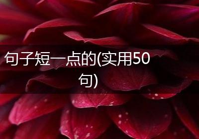 句子短一点的(实用50句)