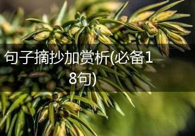 句子摘抄加赏析(必备18句)